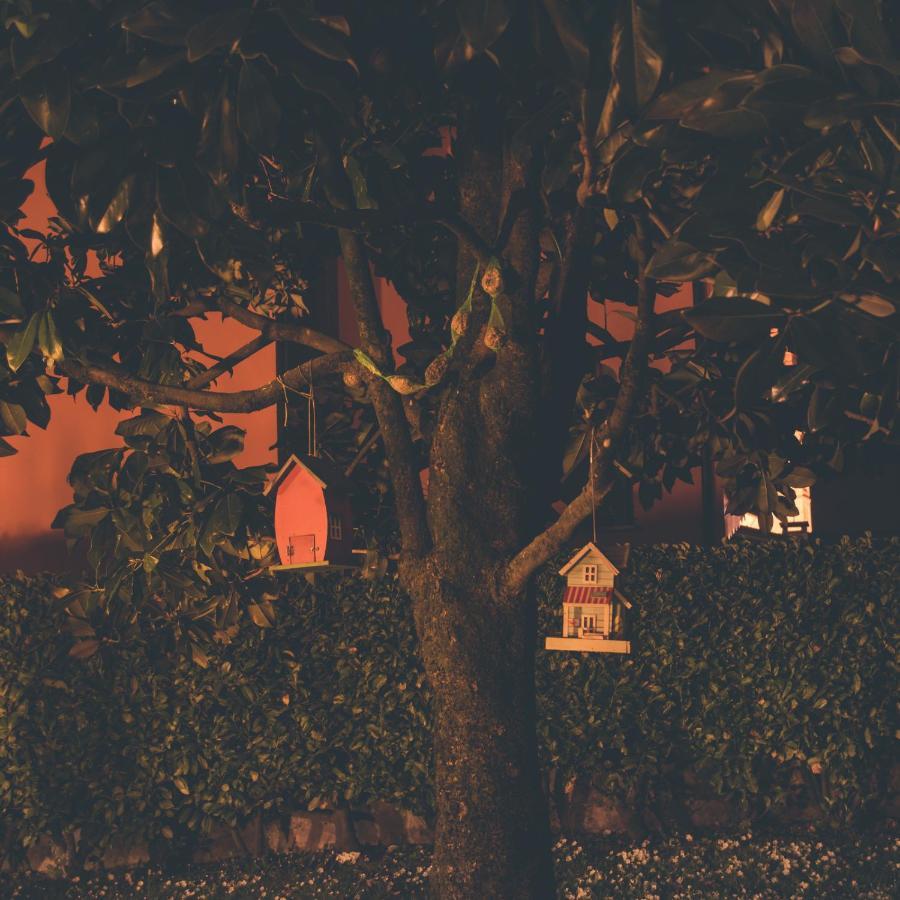 La Moia Bed & Breakfast Cerete Bagian luar foto
